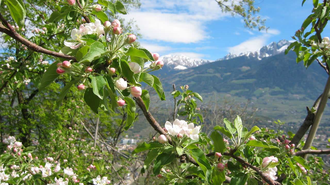 Frühlingswanderung im Hotel Verena bei Meran